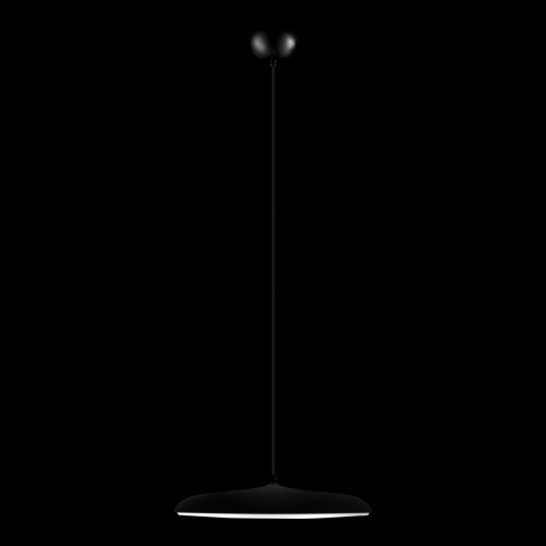 10119 Black Подвесной светильник LOFT IT Plato фото 2