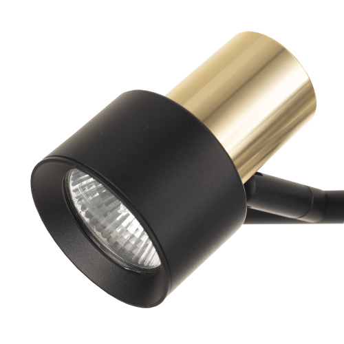Citilux SAT CL505631 Спот поворотный с выключателем Чёрный+Золото фото 9 Citilux SAT CL505631 Спот поворотный с выключателем Чёрный+Золото фото 9
