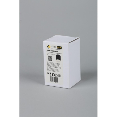 Светильник встраиваемый-накладной OML-100719-01 фото 2 Светильник встраиваемый-накладной OML-100719-01 фото 2