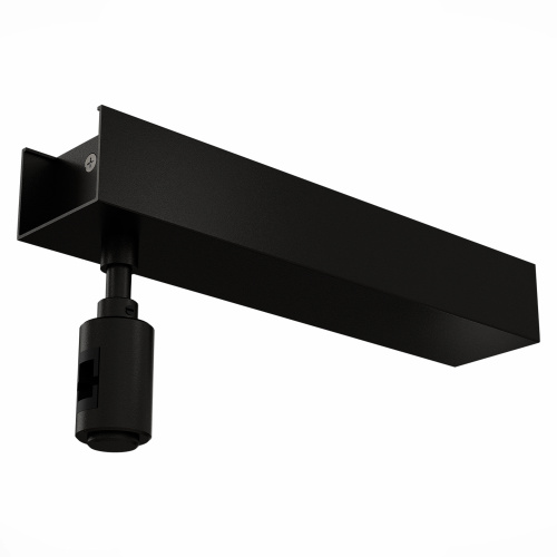 ST026.409.00 Потолочное основание для блока питания с вводом питания ST-Luce Черный FARM фото 2 ST026.409.00 Потолочное основание для блока питания с вводом питания ST-Luce Черный FARM фото 2