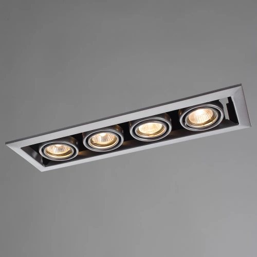 Карданный светильник Arte Lamp CARDANI PICCOLO A5941PL-4SI фото 2 Карданный светильник Arte Lamp CARDANI PICCOLO A5941PL-4SI фото 2