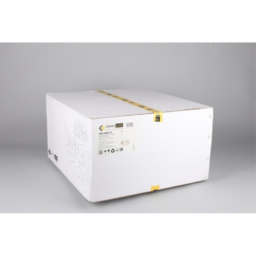 Люстра подвесная OML-59603-12 фото 2