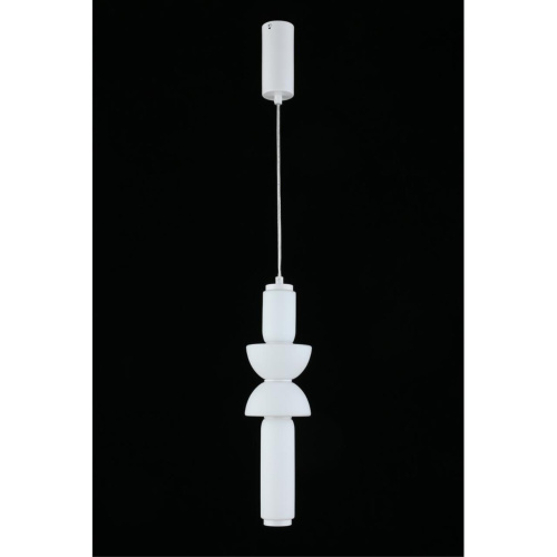 Светильник подвесной APL.665.16.17 фото 12