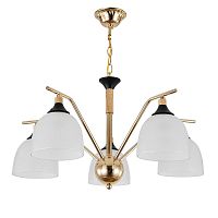 Подвесная люстра Escada Actinidia 2123/5P