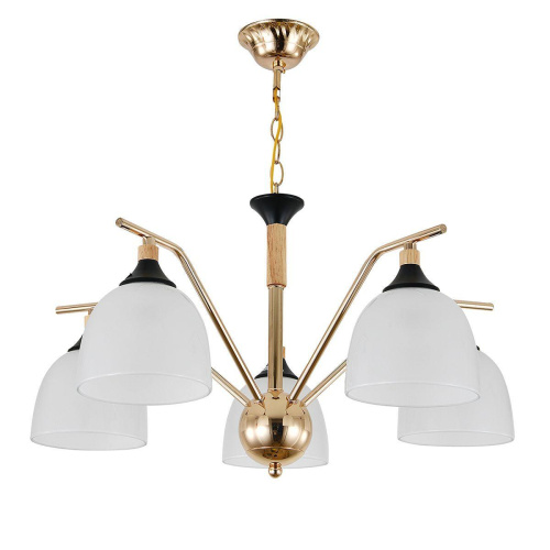 Подвесная люстра Escada Actinidia 2123/5P Подвесная люстра Escada Actinidia 2123/5P