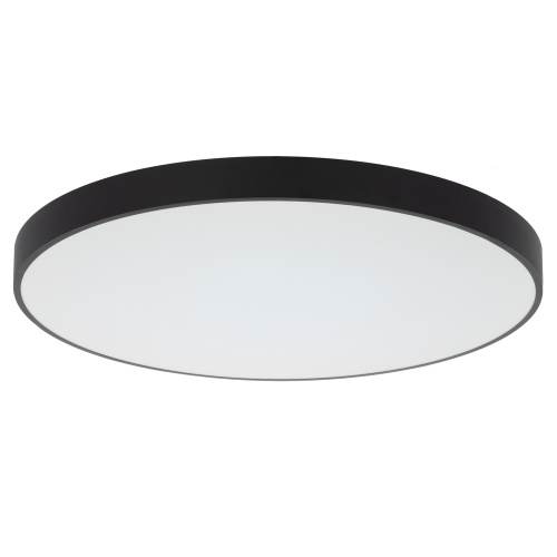 Citilux Купер CL724155G1 LED RGB Светильник с пультом Чёрный фото 2