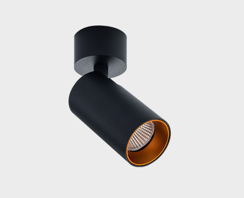 Ring for 10W gold кольцо для светильника фото 2 Ring for 10W gold кольцо для светильника фото 2