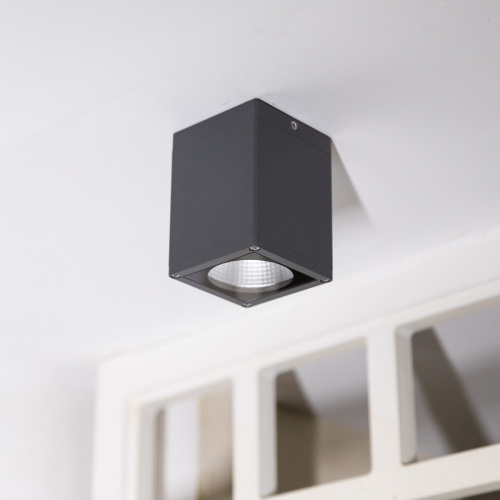 Потолочный фонарь Natural Concepts, Арт. NC-133474-DG фото 5