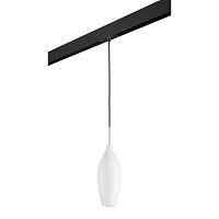 Комплект с трековым светильником Lightstar Pentola (803020+595007) PRO803020