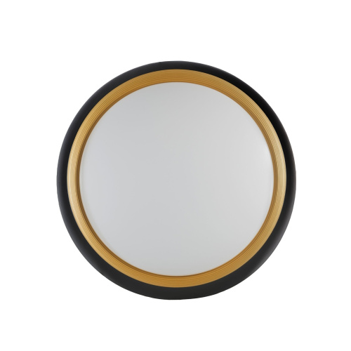 Потолочный светильник Lumina Deco Paneli LDC 8062-48W BK фото 3