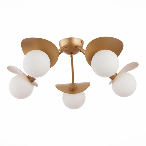 Потолочная люстра Evoluce Bolzano SLE220502-05 фото 3 Потолочная люстра Evoluce Bolzano SLE220502-05 фото 3