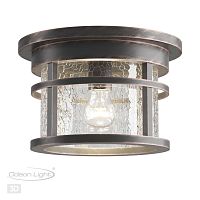4044/1C NATURE ODL18 699 коричневый/патина Уличный потолочный светильник IP44 E27 60W 220V VIRTA