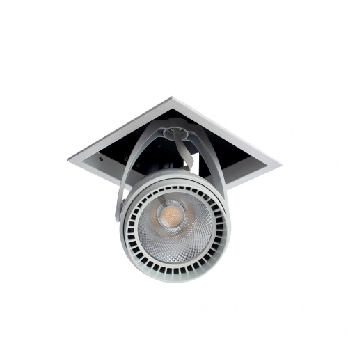 Спот Arte Lamp CARDANI A1618PL-1WH фото 3