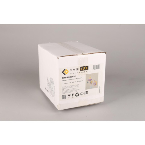 Светильник настенный (Бра) OML-65801-01 фото 2