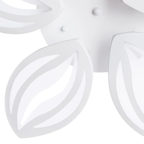 Потолочная люстра Arte Lamp DAISY A1098PL-5WH фото 5