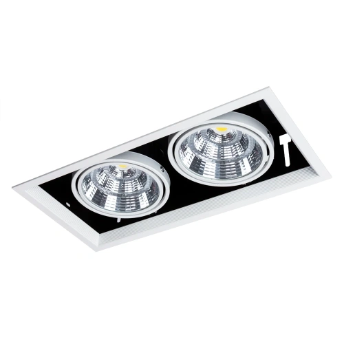 Карданный светильник Arte Lamp MERGA A8450PL-2WH фото 3