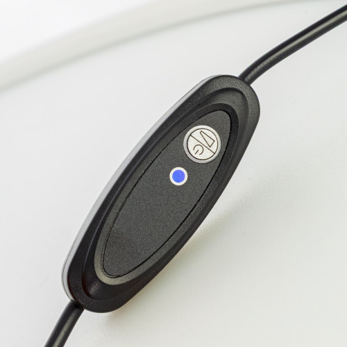 Настольная лампа Citilux Lina CL812012 фото 5