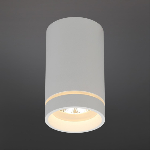 Светильник встраиваемый-накладной APL.0053.09.10 фото 3