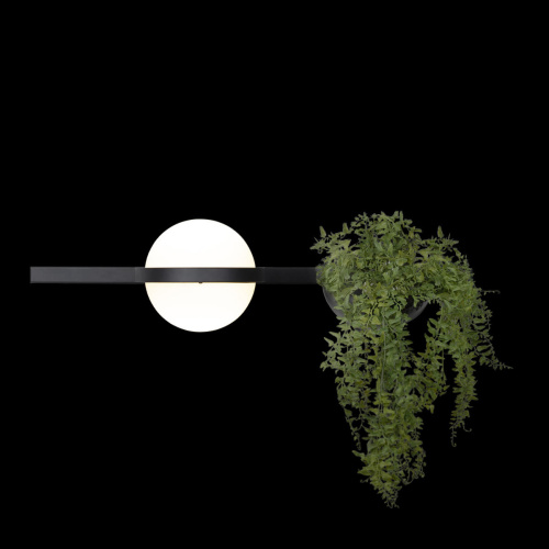 10121W/A Настенный светильник LOFT IT Jardin фото 2 10121W/A Настенный светильник LOFT IT Jardin фото 2