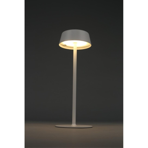 Настольная лампа OML-40514-01 фото 4