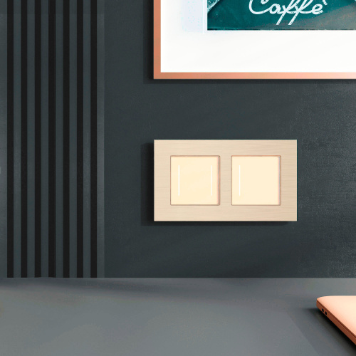 Рамка из металла на 2 поста АluMax шампань алюминий W0023511 фото 3 Рамка из металла на 2 поста АluMax шампань алюминий W0023511 фото 3