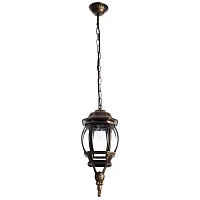 Уличный подвесной светильник Arte Lamp ATLANTA A1045SO-1BN