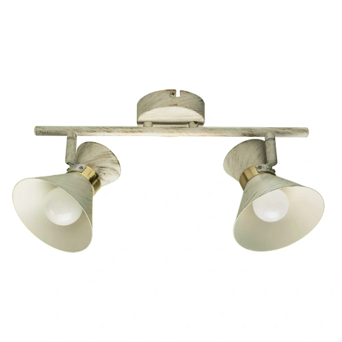 Спот Arte Lamp BALTIMORE A1406AP-2WG Спот Arte Lamp BALTIMORE A1406AP-2WG