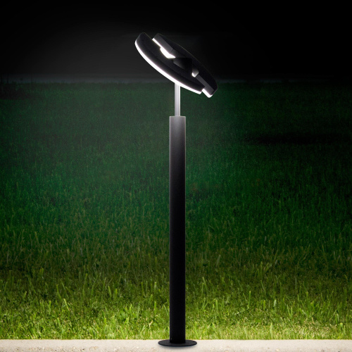 Citilux GARDA CLU03B2 LED Уличный парковый светильник поворотный Графит фото 6