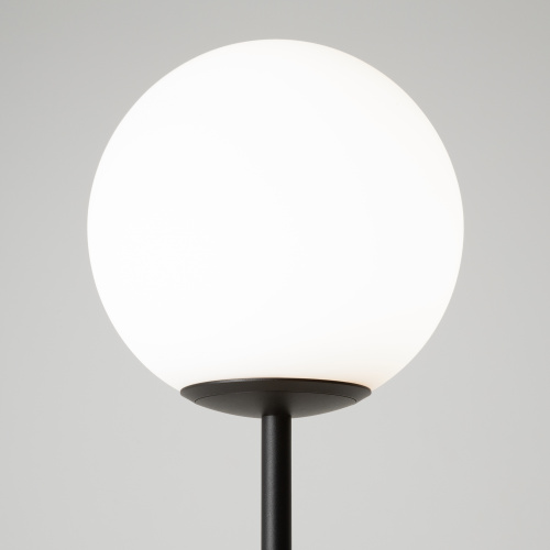 Напольный светильник (торшер) Maytoni MOD427FL-L20B3K фото 8