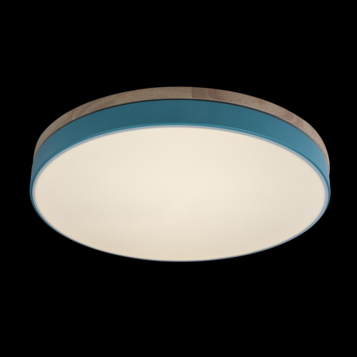 10001/36 Blue Потолочный светильник LOFT IT Axel фото 2