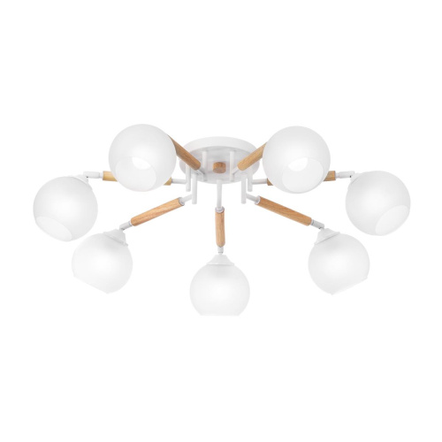 Потолочная люстра Citilux Tika CL133170 фото 2