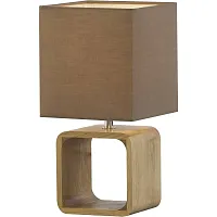 Декоративная настольная лампа Arte Lamp WOODS A1010LT-1BR