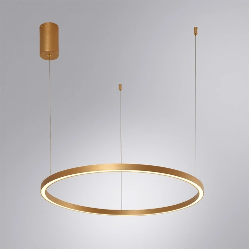Подвесная люстра Arte Lamp SMOOTH A2223SP-1PB фото 2