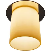 Точечный встраиваемый светильник Arte Lamp COOL ICE A8551PL-1CC