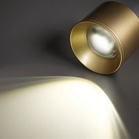 358669 OVER NT21 444 золото Светильник накладной светодиодный IP20 LED 4000К 12W 220V PATERA