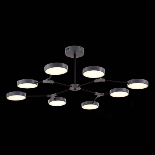 Потолочная светодиодная люстра Evoluce Monta SLE6003-702-08 фото 2