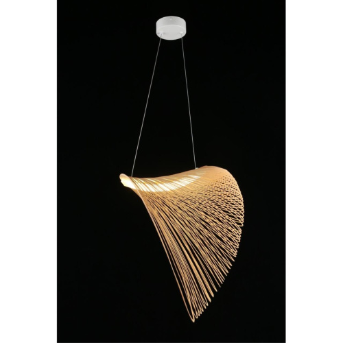 Люстра подвесная APL.655.03.21 фото 9 Люстра подвесная APL.655.03.21 фото 9