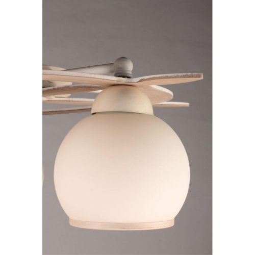 Люстра потолочная OML-50517-05 фото 5 Люстра потолочная OML-50517-05 фото 5