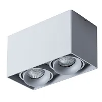 Точечный накладной светильник Arte Lamp PICTOR A5654PL-2GY