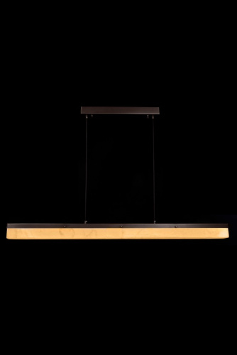 Подвесной светильник Adagio FL1014-1P-BK Подвесной светильник Adagio FL1014-1P-BK