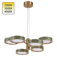 5450/99LA L-VISION ODL_EX26 019 зеленый/античная бронза/металл/керамика/акрил Люстра LED 99W 2000К/3000K/4000K RIVIERA