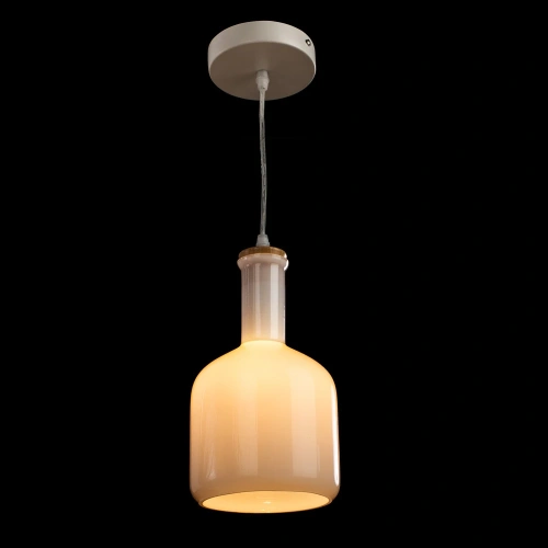 Подвесной светильник Arte Lamp ACCENTO A8115SP-1WH фото 2 Подвесной светильник Arte Lamp ACCENTO A8115SP-1WH фото 2