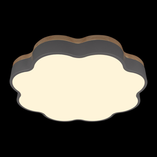 10225/36 Grey Потолочный светильник LOFT IT Axel фото 2