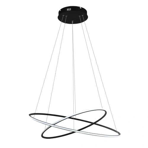 Подвесная люстра Arte Lamp RAPID A2500SP-2BK Подвесная люстра Arte Lamp RAPID A2500SP-2BK