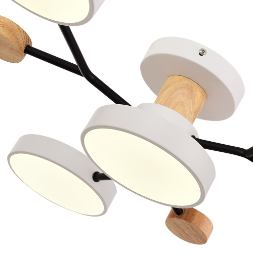 SLE6006-502-04 Светильник потолочный Белый/Белый LED 4*12W 3000K/4500K/6000K FAEMA фото 3