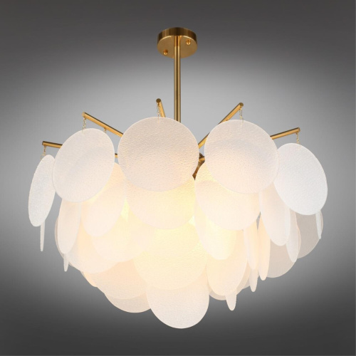 Люстра потолочная OML-67407-06 фото 3 Люстра потолочная OML-67407-06 фото 3