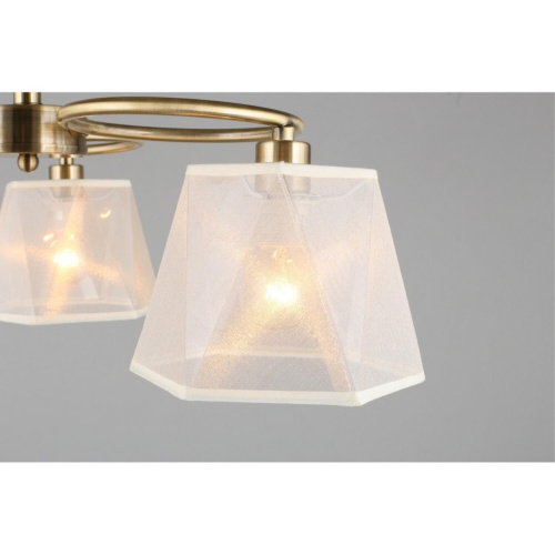 Люстра потолочная OML-65017-03 фото 7 Люстра потолочная OML-65017-03 фото 7