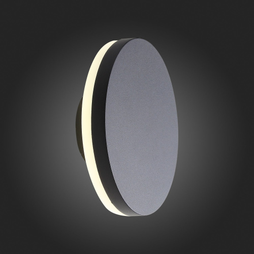 SL087.401.01 Светильник уличный настенный ST-Luce Черный кварцевый LED 1*12W 4000K CONTARIO фото 2