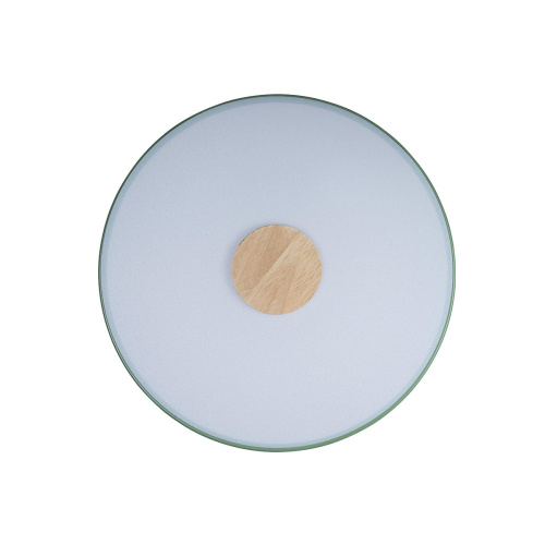 10003/24 Green Потолочный светильник LOFT IT Axel фото 3