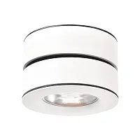 Точечный накладной светильник Arte Lamp VELA A2511PL-1WH